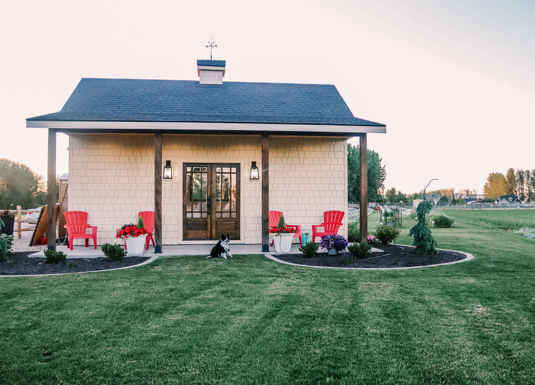 Border and Blooms Flower Farm Logo