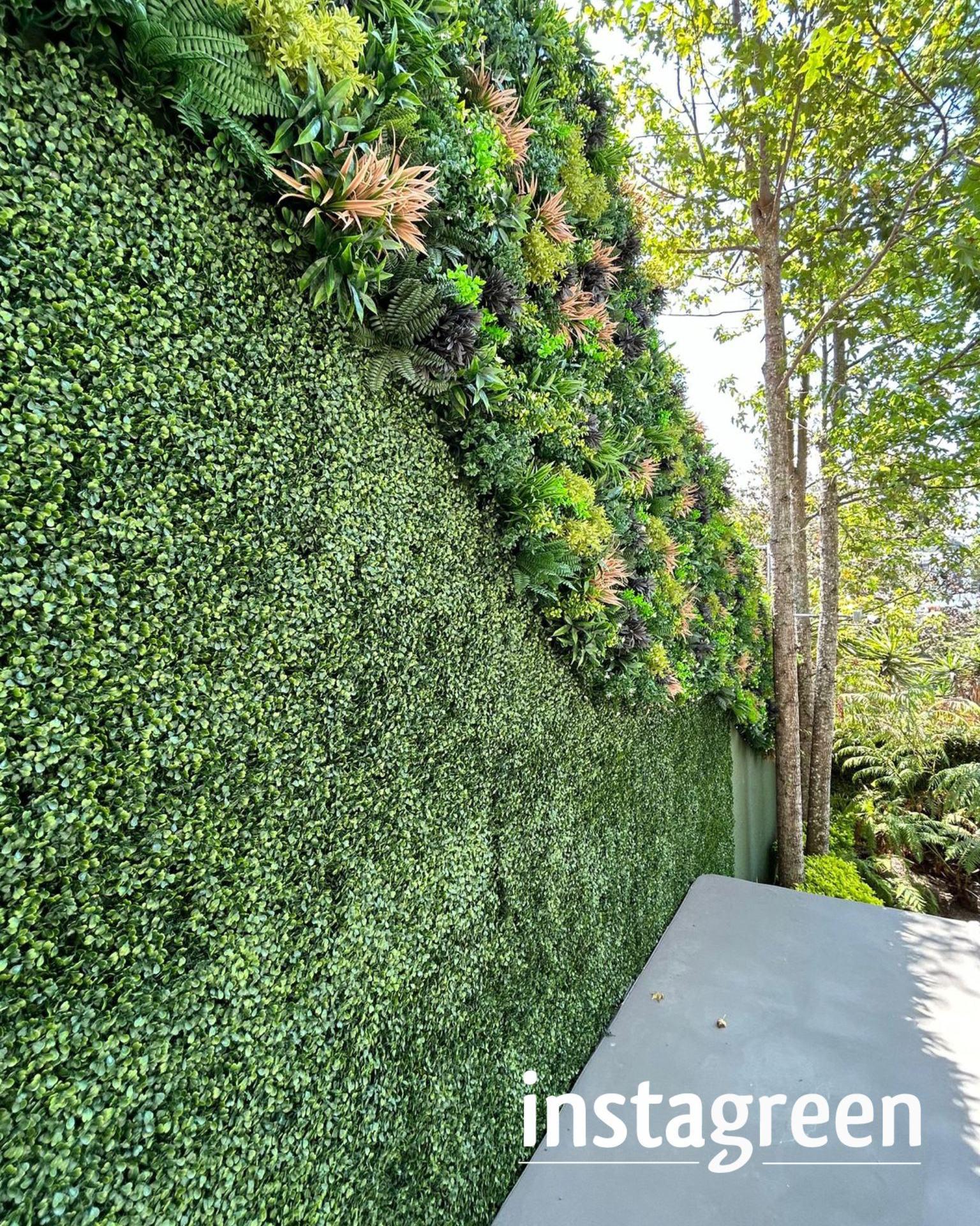 Green wall
garden
renovations
#1 artificial grass and wall in San Diego CA Instagreen San Diego San Diego (858)372-6665