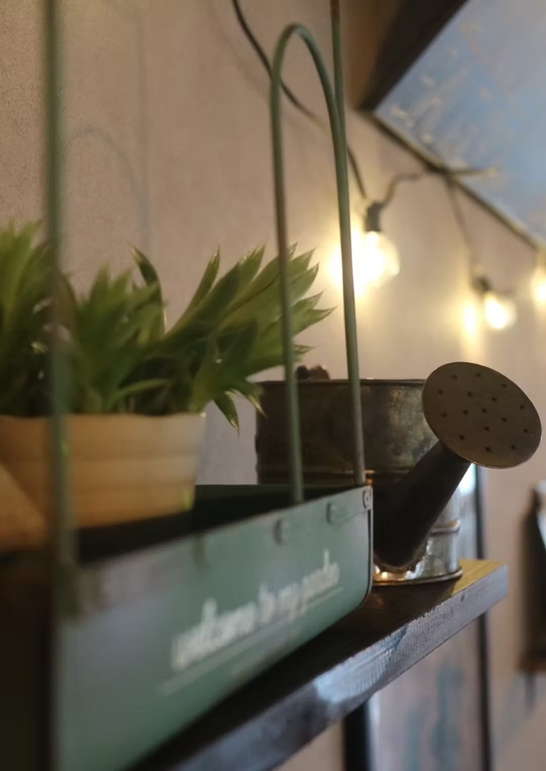 Images MATSUDO MONJA