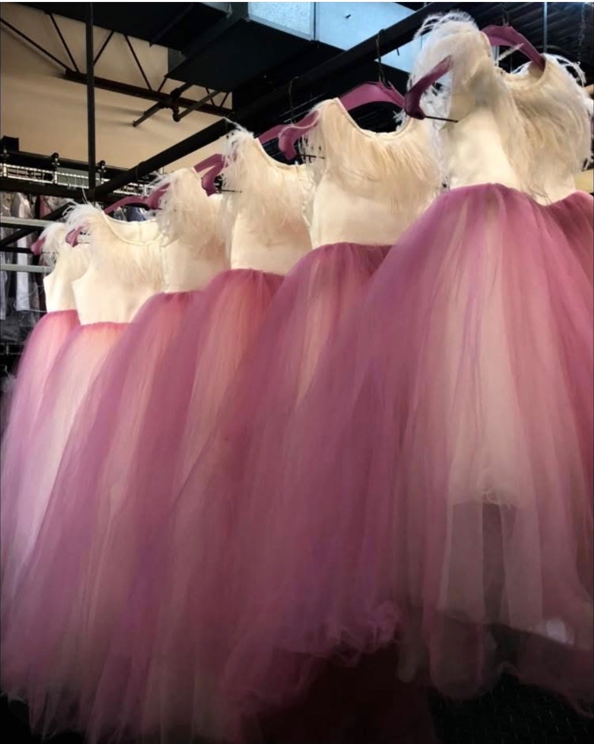 A row of delicate white and pink ombre flower girl dresses adorned with feather trim and layered tulle skirts after specialized cleaning at Plaza Cleaners.