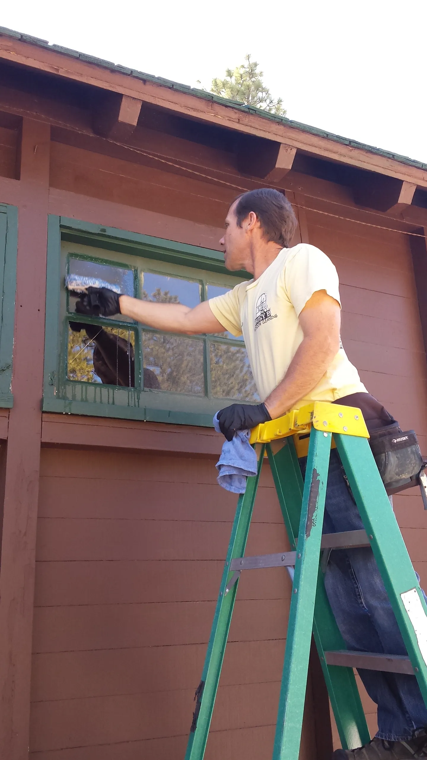 Busy B Window Cleaning Image