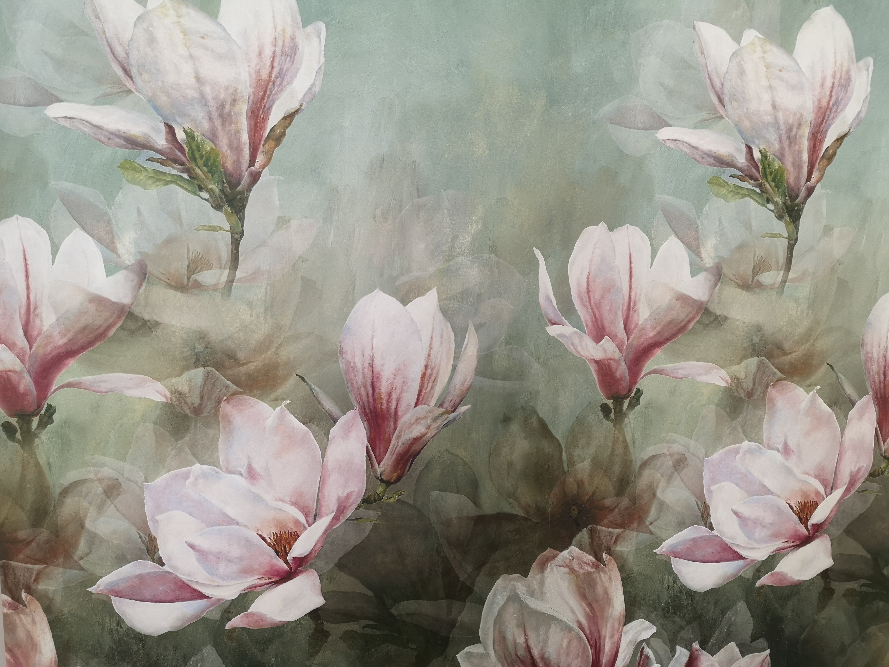 Egli Bestattungen AG Bern, Breitenrainplatz 42 in Bern