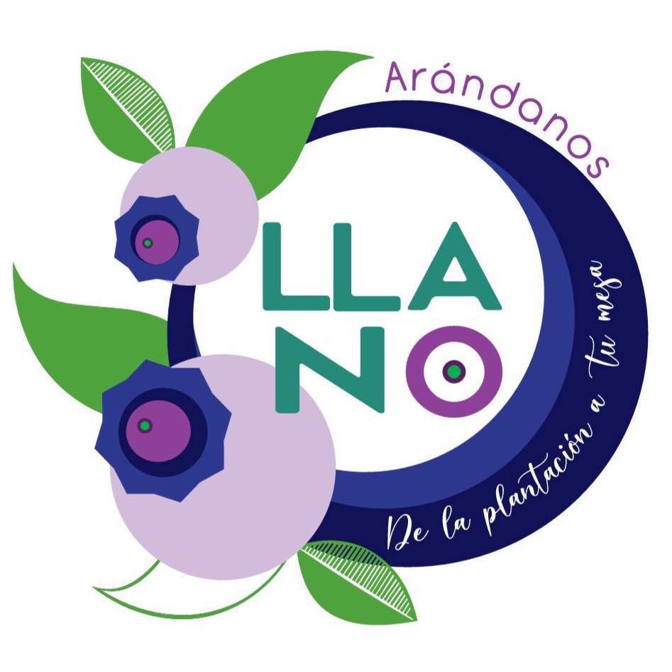 Arándanos el Llano Logo