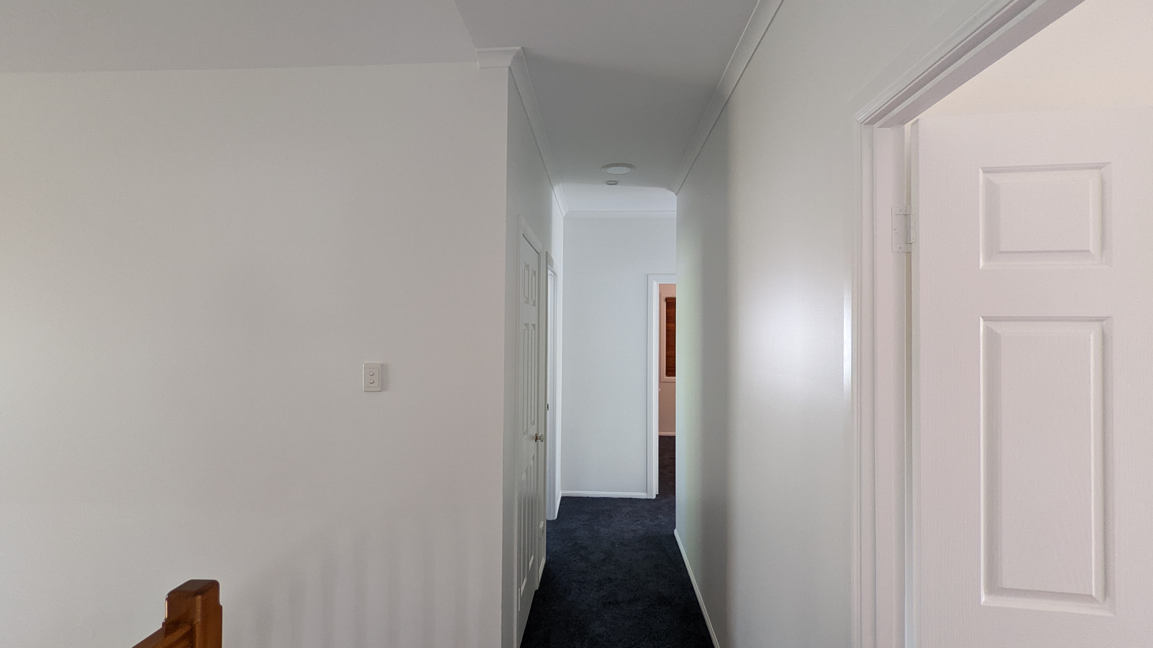 Images Nobel Painting