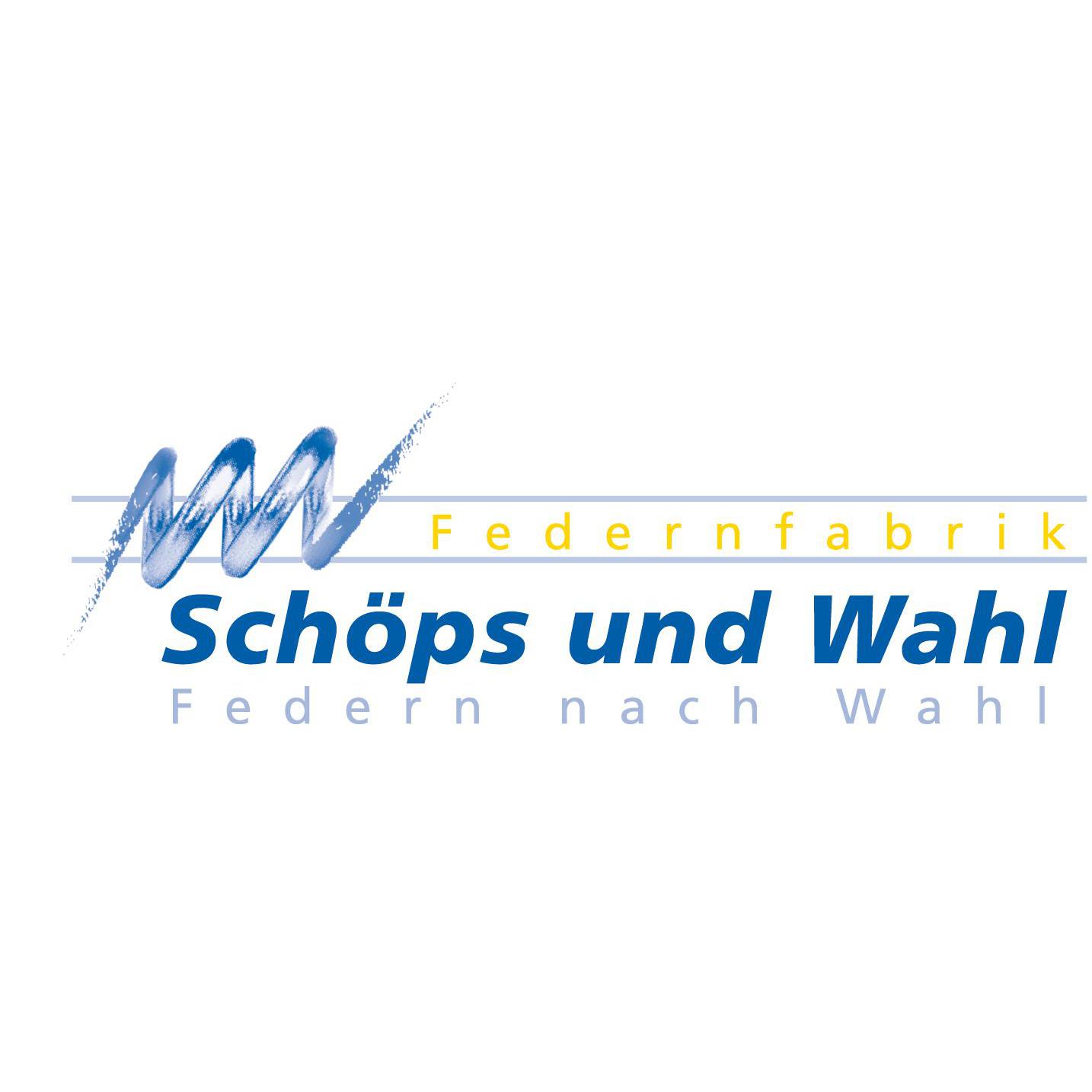 Logo Schöps und Wahl GmbH