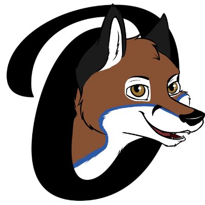 Computerservice Foxx  