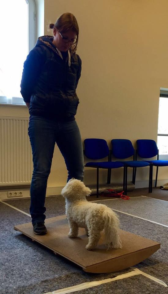 Canis Agilitas Hundephysiotherapie, Führenmoor 3 in Uetze