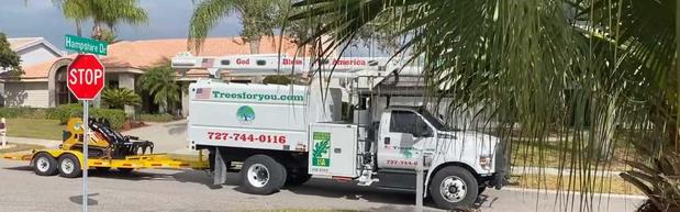 Images TreesForYou.com