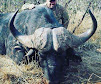 Image 6 | Shooting Stix Safaris