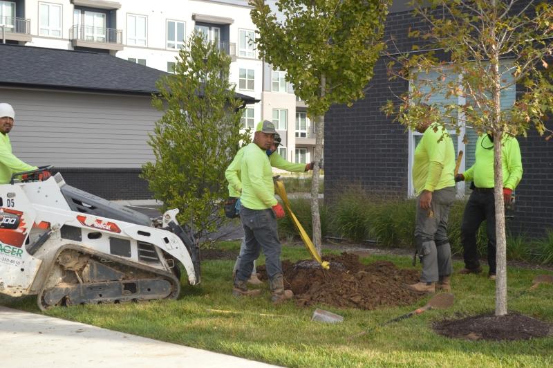 Images Acer Landscape Services