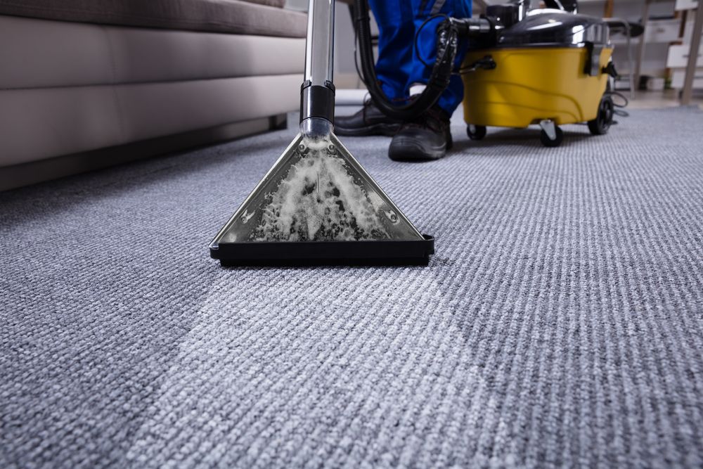 Carpet Cleaning By Ron, Inc. Photo