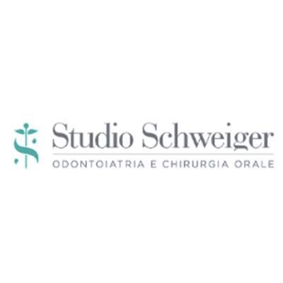 Studio Schweiger Logo