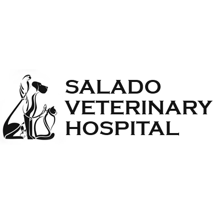 Salado Veterinary Hospital - Salado, TX 76571 - (254)947-8058 | ShowMeLocal.com