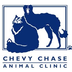 Chevy Chase Animal Clinic Logo