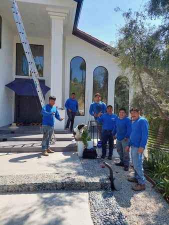 Images AD Green Gutters and Screens