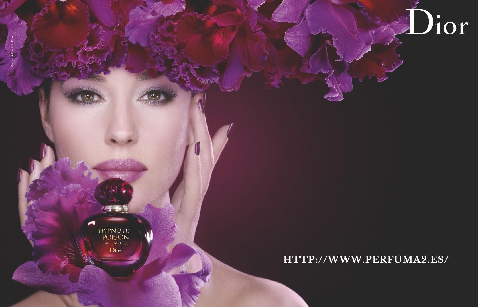 Images Perfuma2.es
