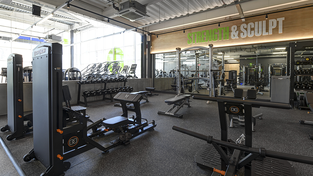 Strength & Sculpt Area
