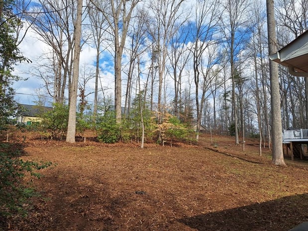 Images David Kennedy Tree & Landscaping