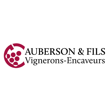 Auberson et Fils SA Logo