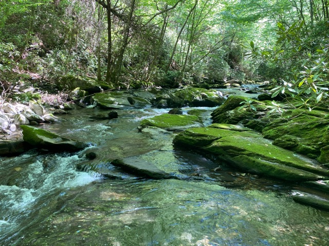 Images Brent Maudlin - State Farm Insurance Agent