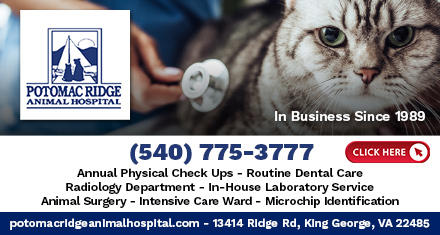 Images Potomac Ridge Animal Hospital