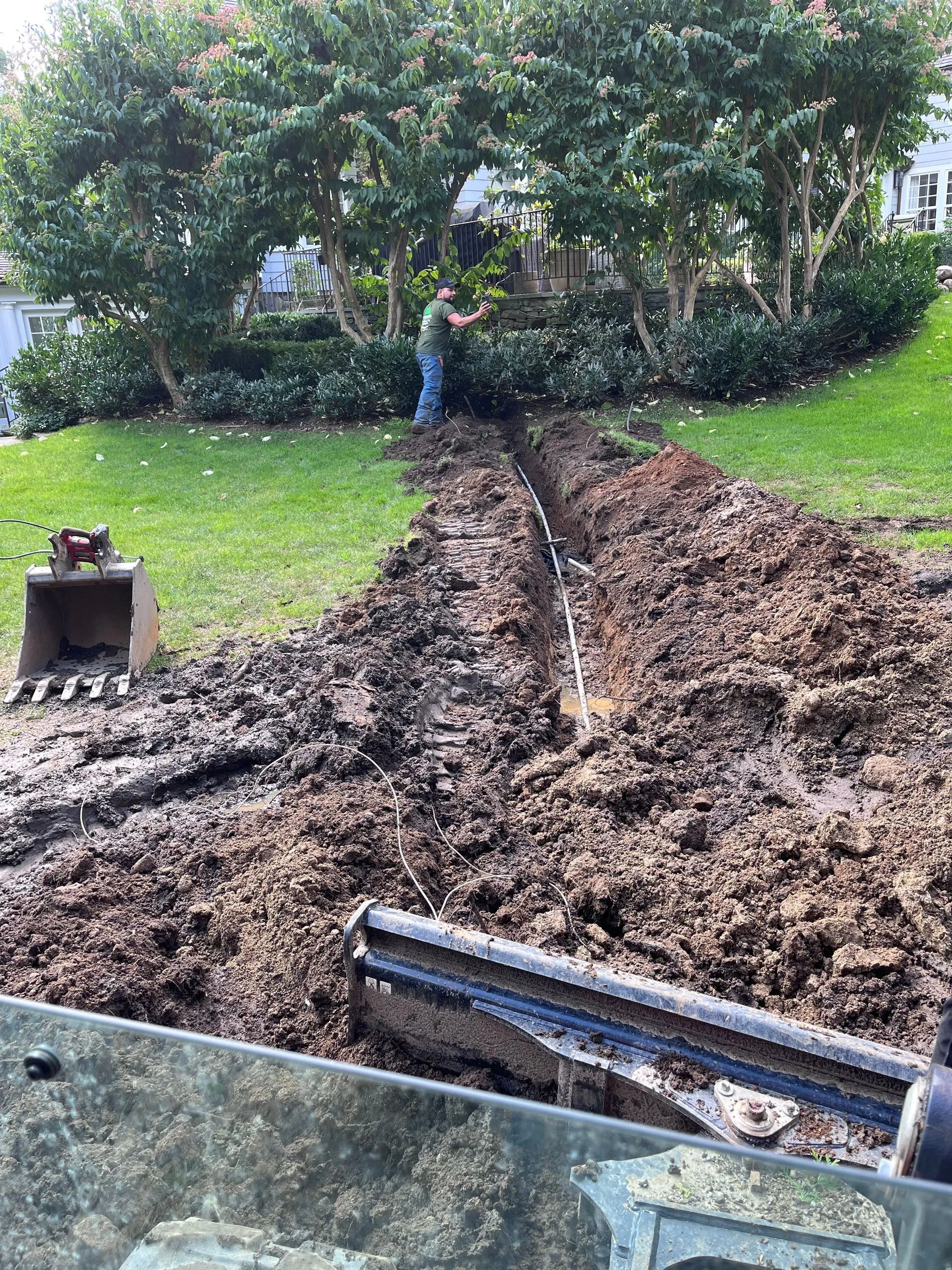 Guzman Tree Removal Image