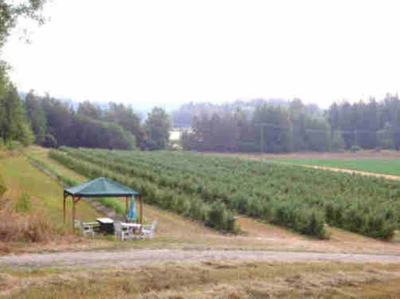 Images Melkkilän Puutarha ja Vihertyö