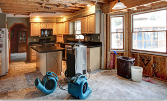 Images WDS Water Damage Solutions