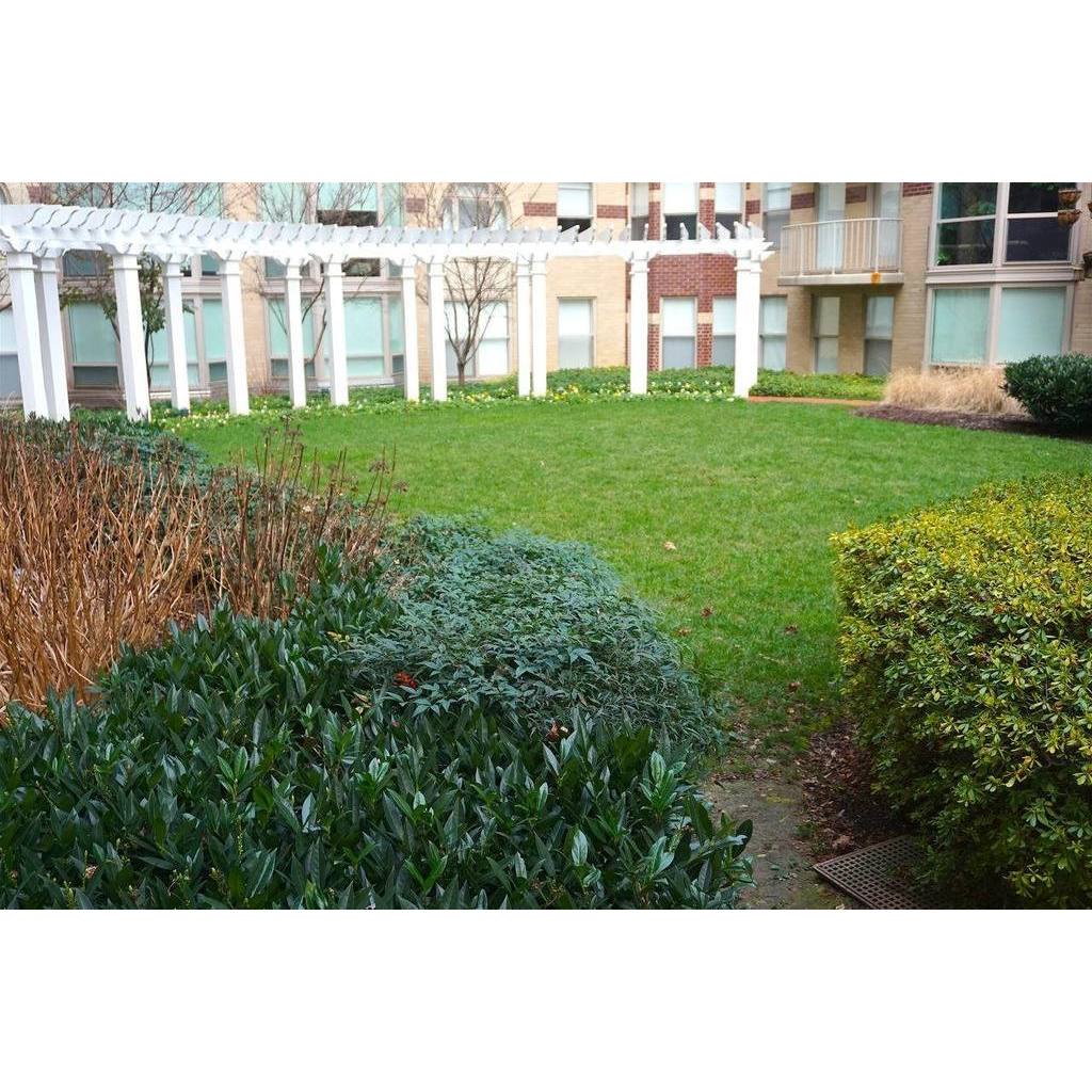 Washington Fully Furnished Apartments