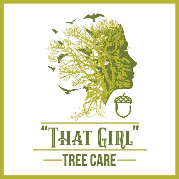 Images That Girl Tree Care