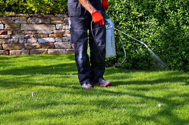 Images SunBlest Lawn Care