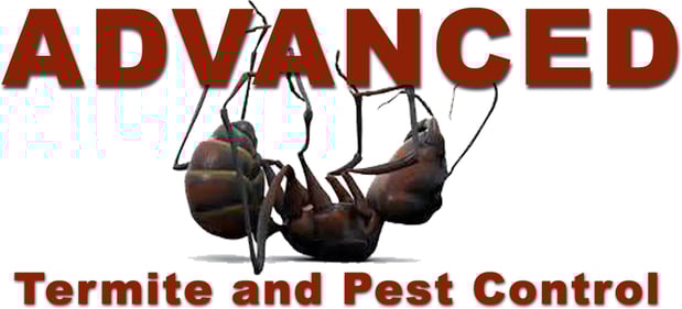 Images Advanced Termite and Pest Control