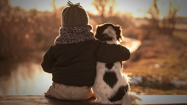 Images Pets First Veterinary Clinic