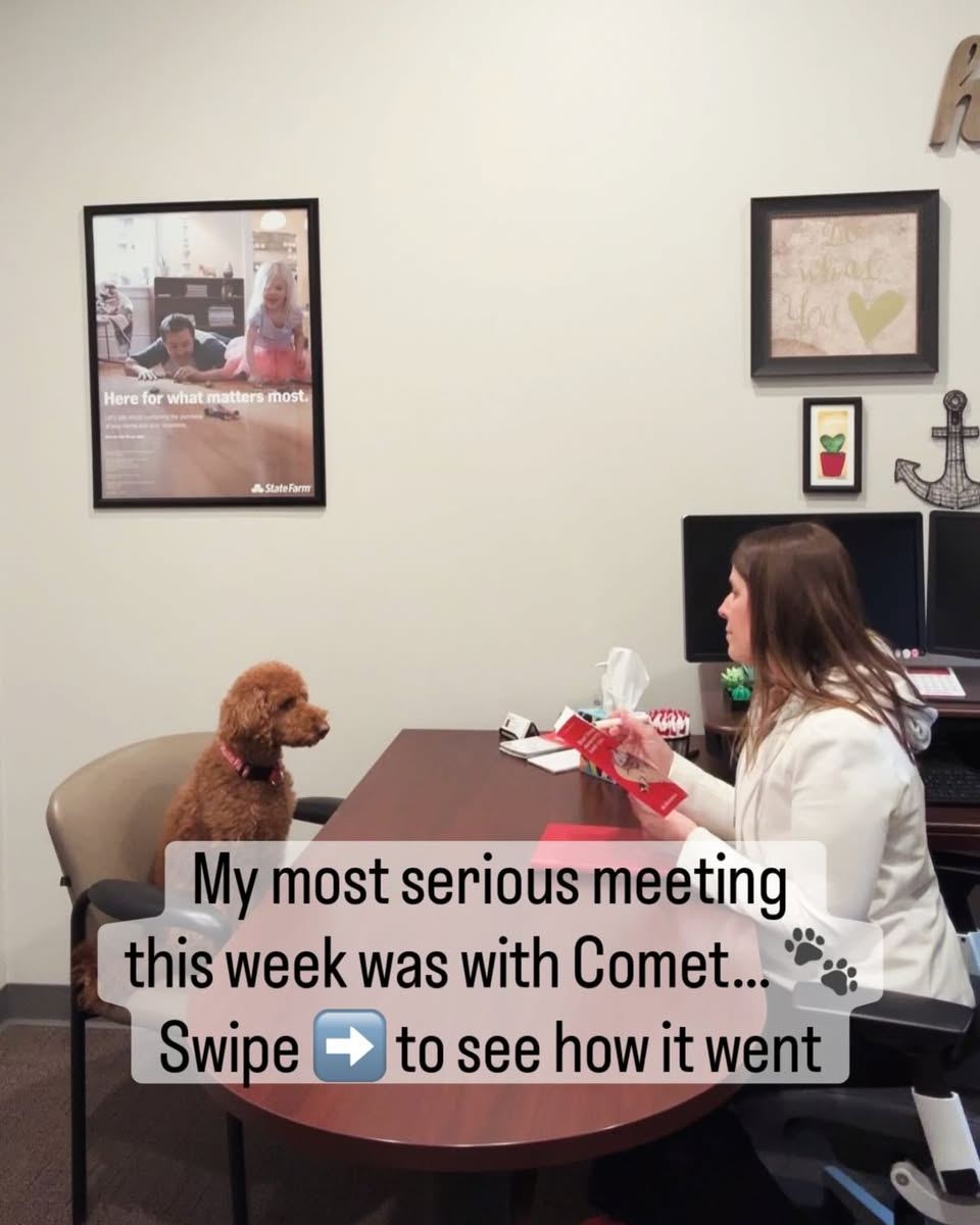 In honor of National Puppy Day, I had a special meeting. We reviewed options for a Trupanion pet medical policy. There were many questions and strong interest in treat coverage. Pets are family and vet bills can add up. Plan ahead and give your pup an extra treat today.