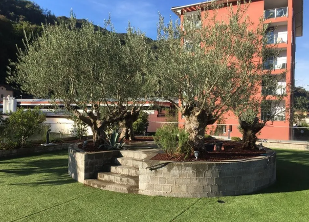 Bilder Biava Mattia - Giardiniere paesaggista