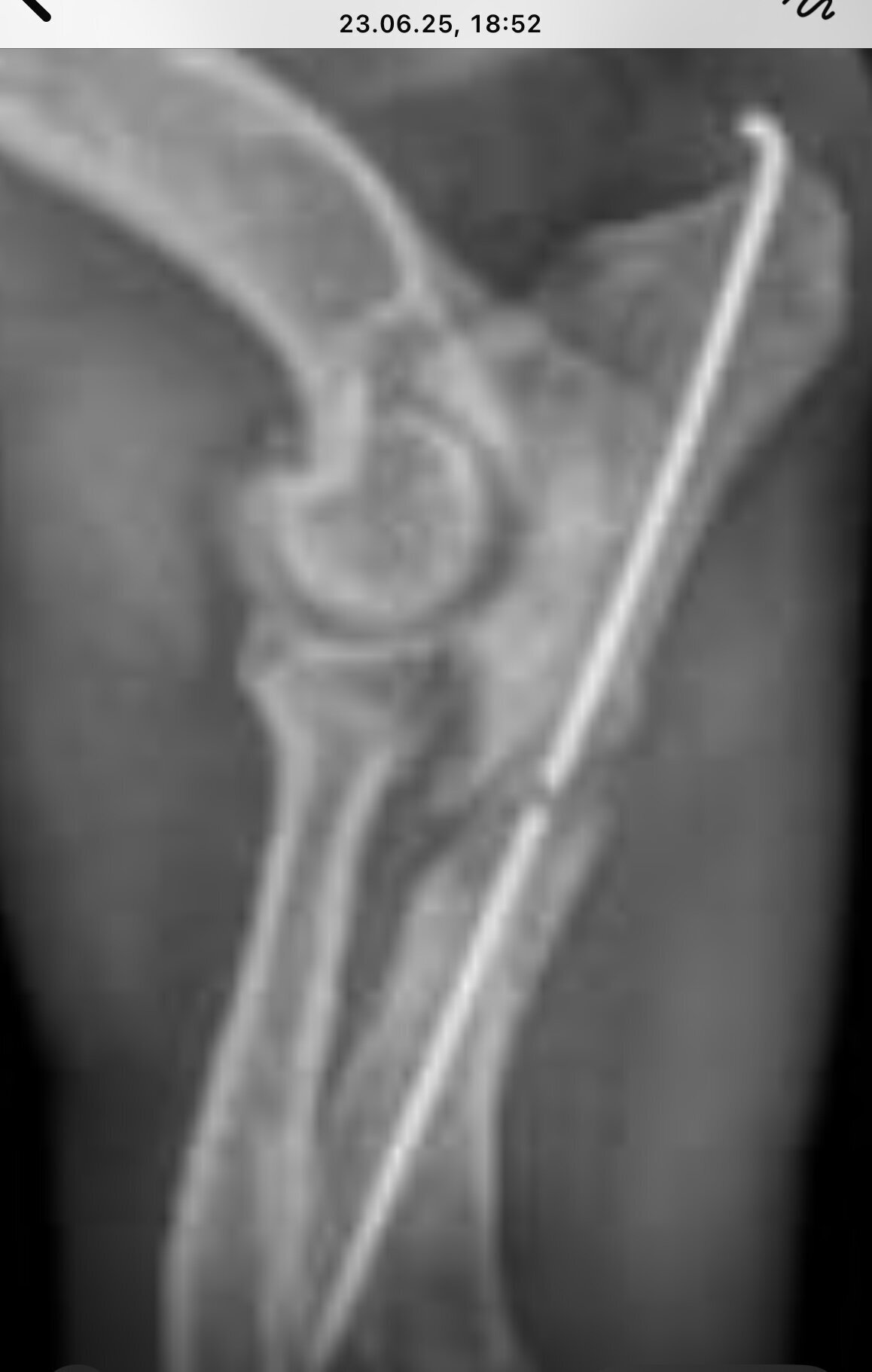 NANO Center CellCare therapie Bioresonanz Daniela Siegmund in Essen