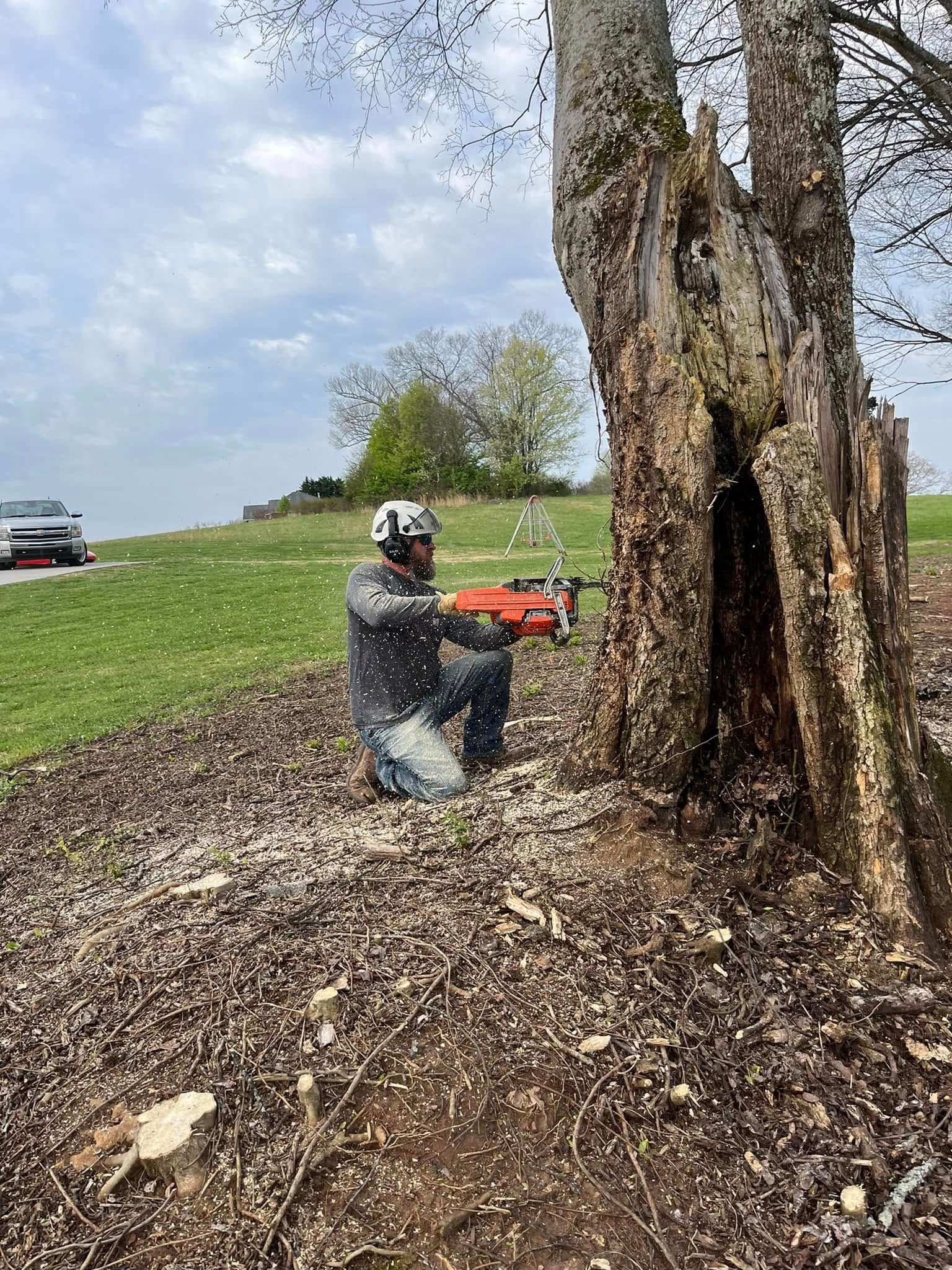 Precision Tree Service Image