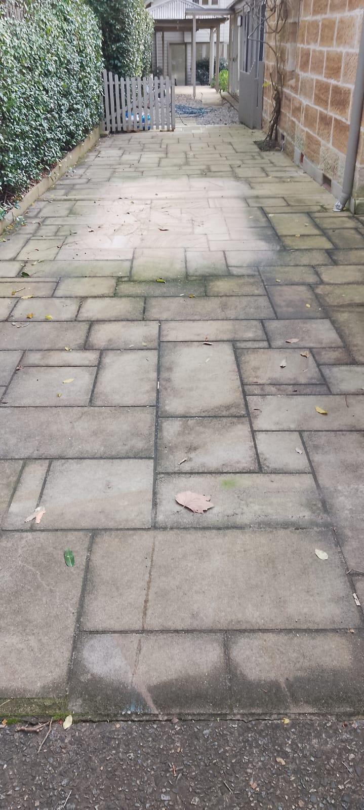 Images Butler Carpet Cleaning Sydney