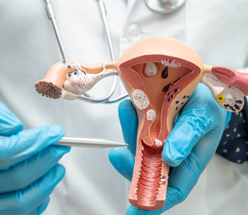 Images Centro di Medicina della Riproduzione Gippone Dott.ssa Silvana