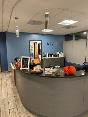 Images VCA Everett Animal Hospital
