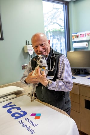 Images VCA Cairo Animal Hospital