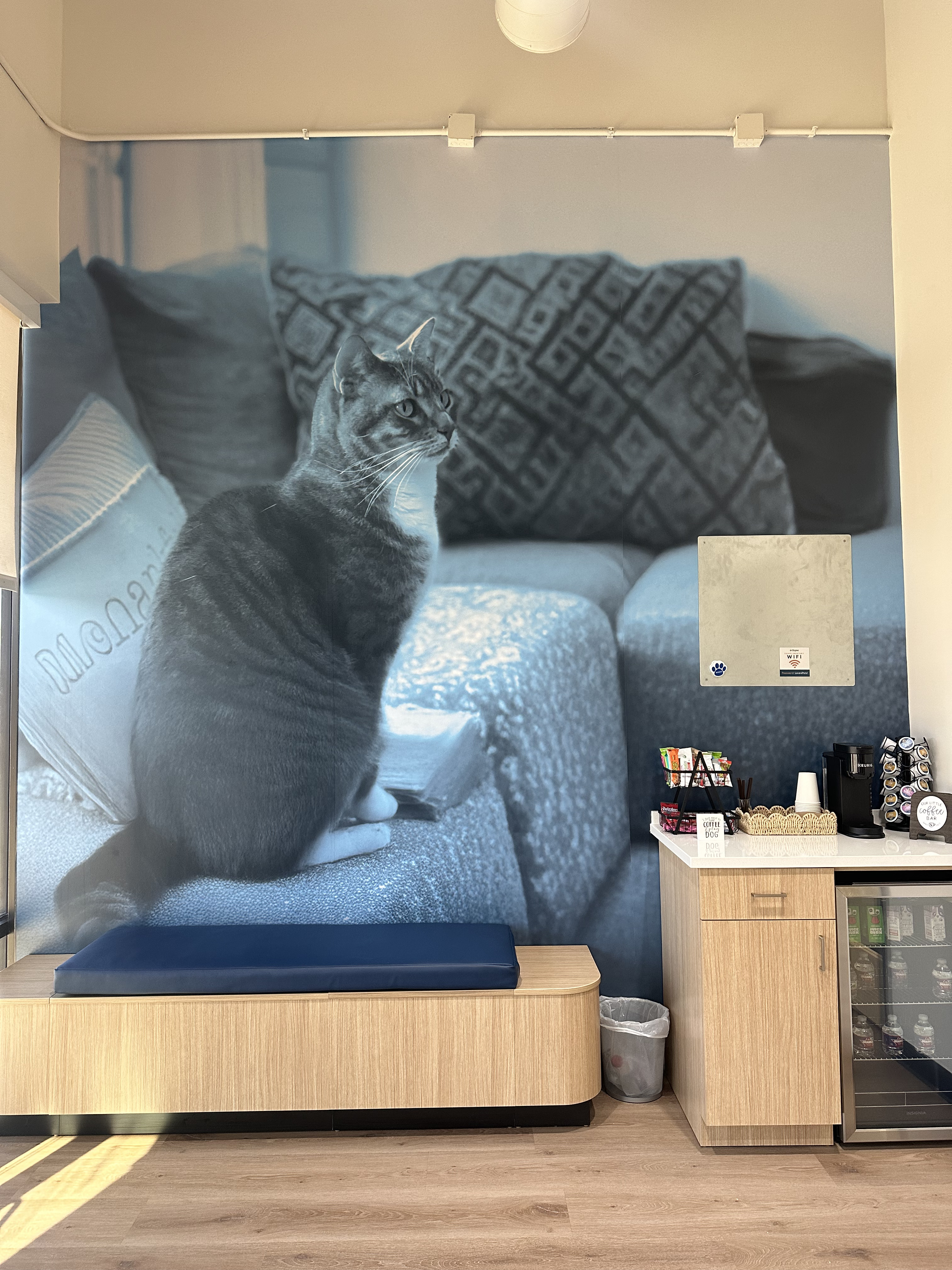 CityVet | Spring Image