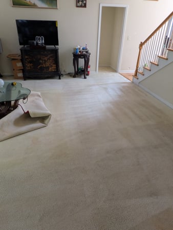 Images Purifications Carpet Cleaning