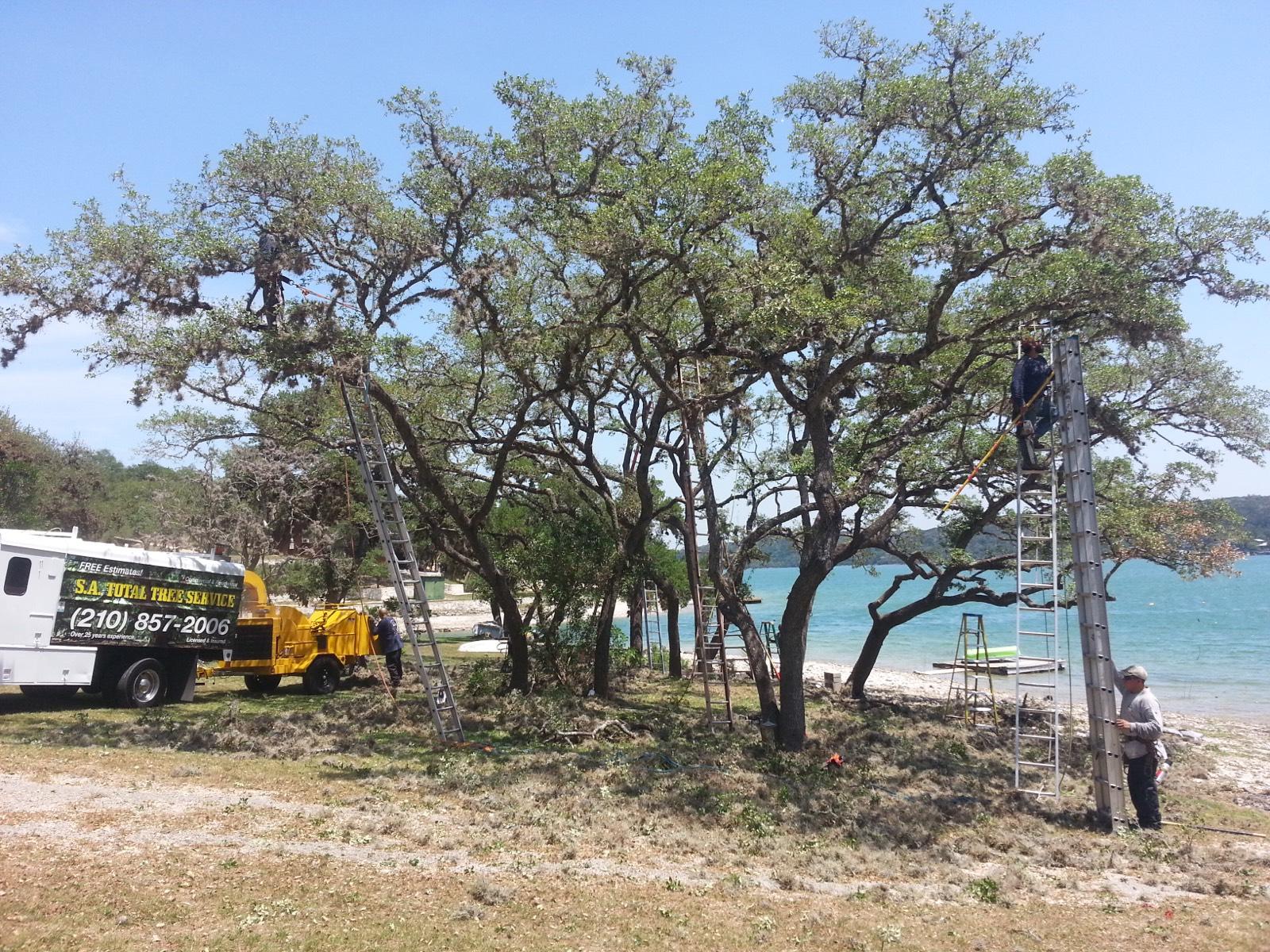 SA Total Tree Service Photo