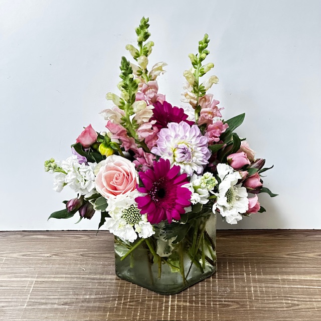 Images Jane's Roses & Flowers