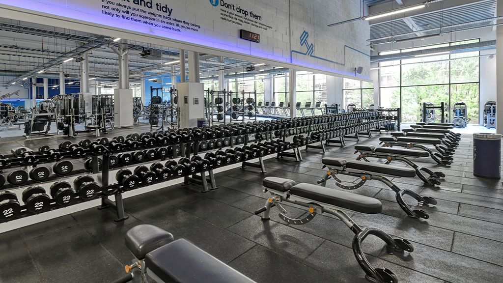 Free Weight Area