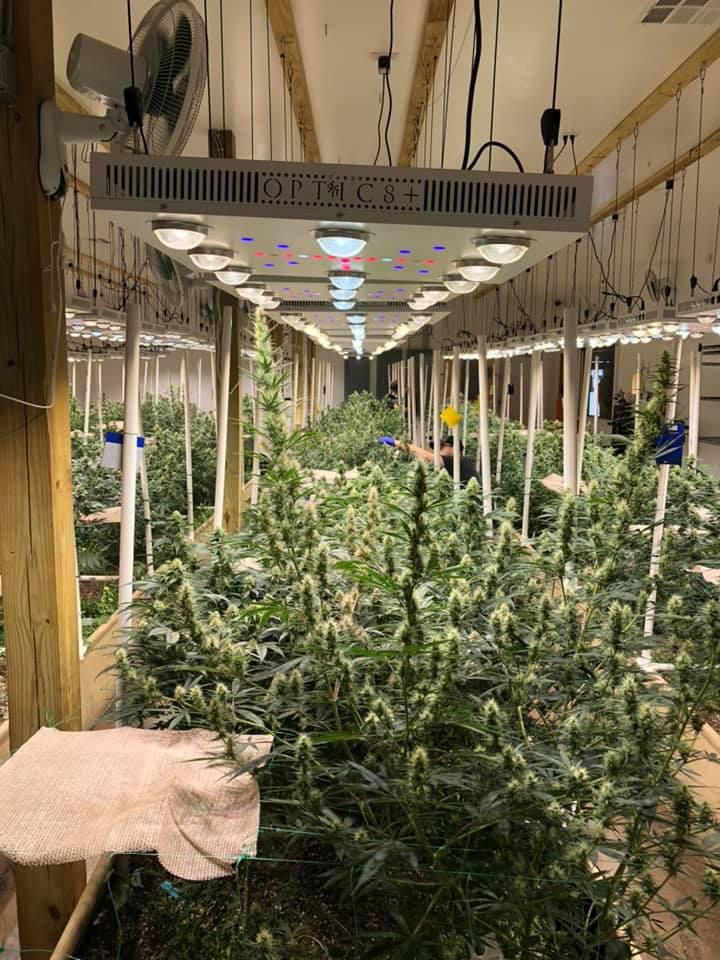 Native Harvest Dispensary Photo