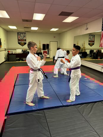 Images Jaguar Dojo