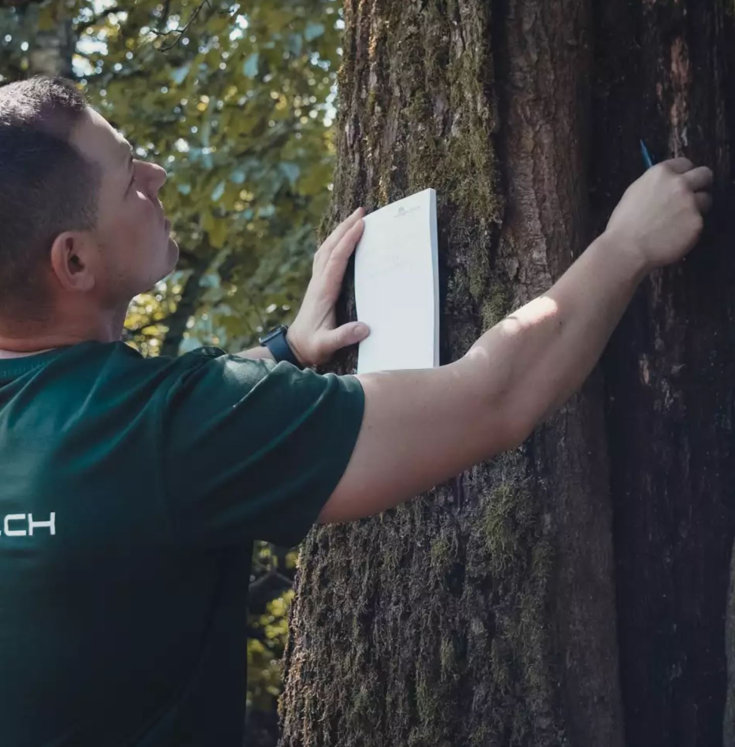 ihrbaum.ch, Tobelstrasse 21 in Hinwil