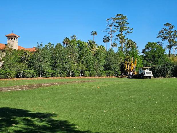 Images Associated Treemasters